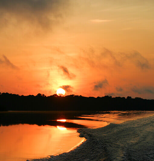 Amazônia: Alto Rio Negro