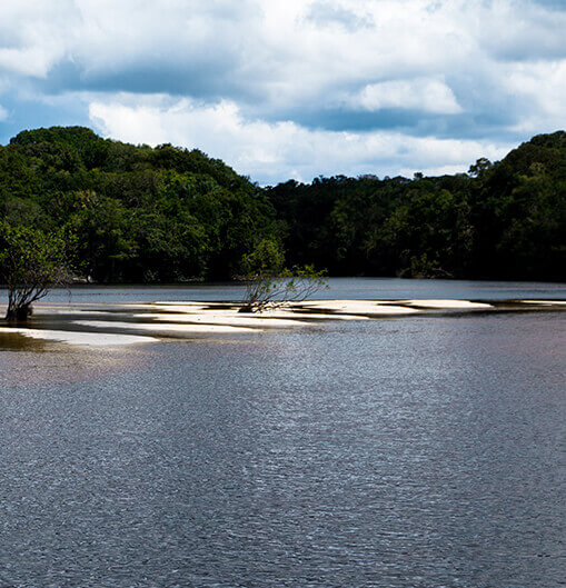 Amazônia: Alto Rio Negro