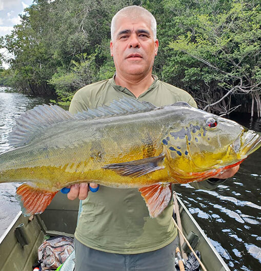 Amazônia: Pousada Itapará