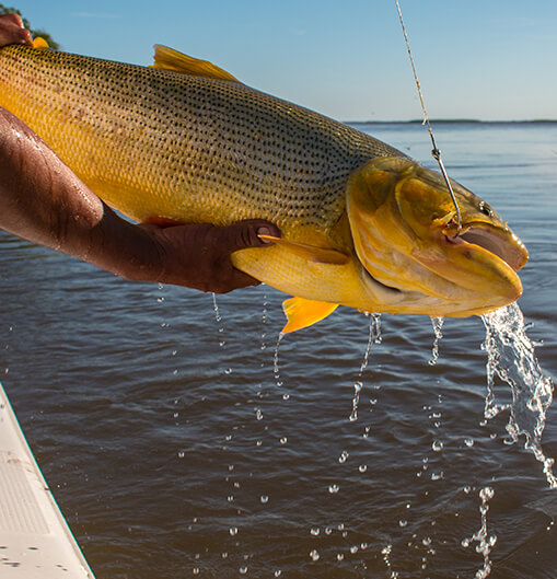 Argentina: Pesca em Esquina