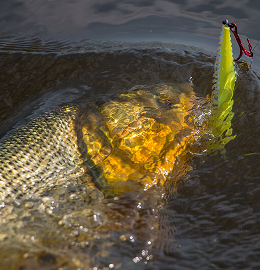Argentina: Pesca em Esquina